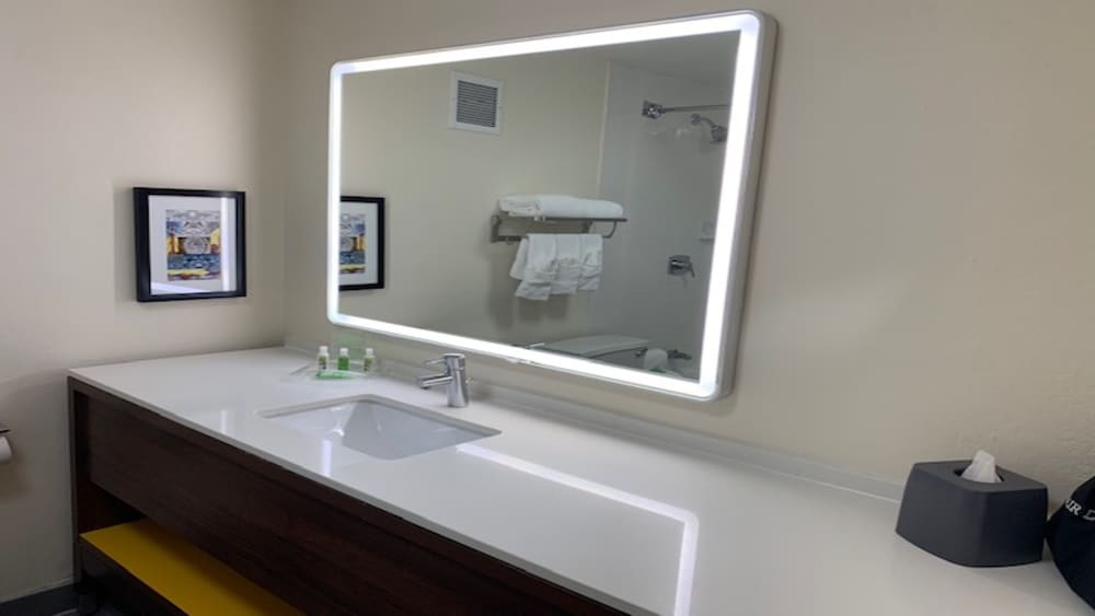 غرفة بريميوم بسرير كينج، Holiday Inn & Suites Chicago North Shore (Skokie) 4/6