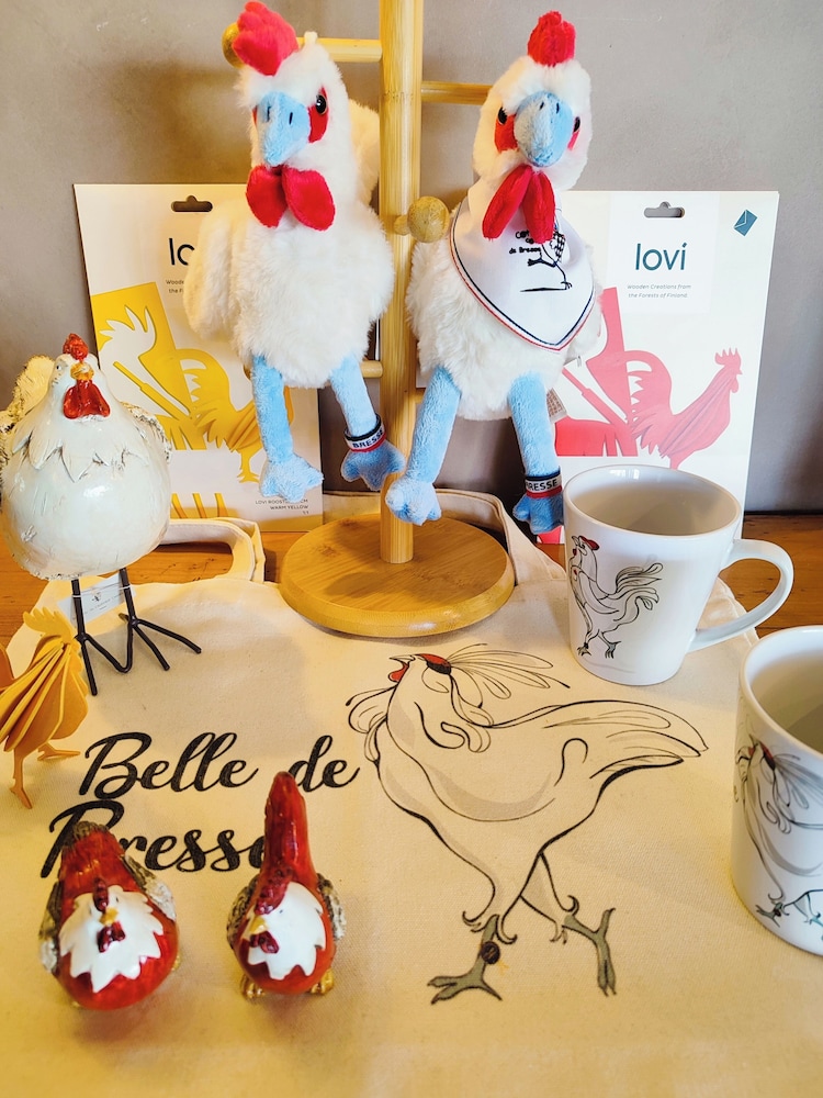 Mercure Bourg En Bresse 20/50