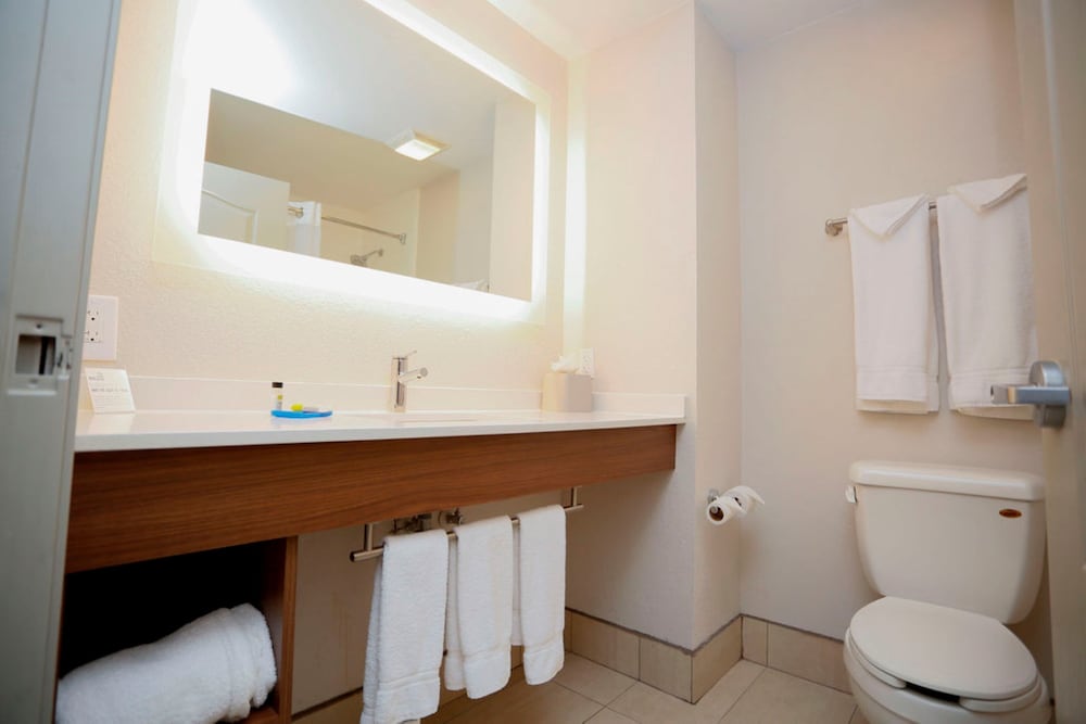 Holiday Inn Express Hotel and Suites Carlsbad 63/65