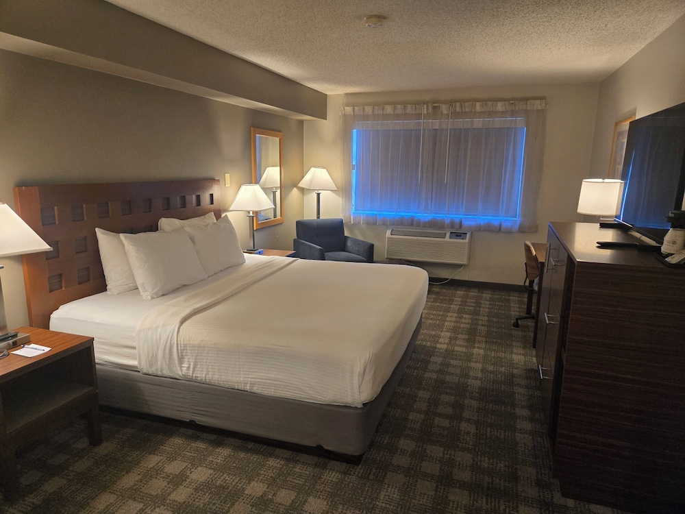 STANDARD, KING BED, PET FRIENDLY
