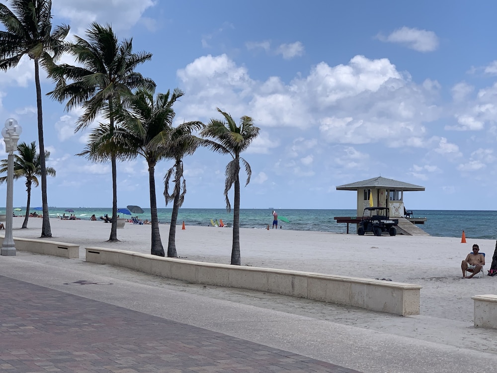 Seagull Hollywood Beach 32/36