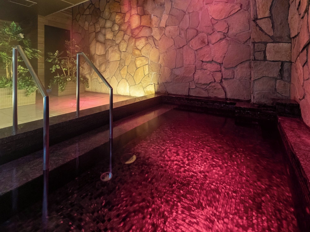 Solaria Nishitetsu Hotel Sapporo 40/73