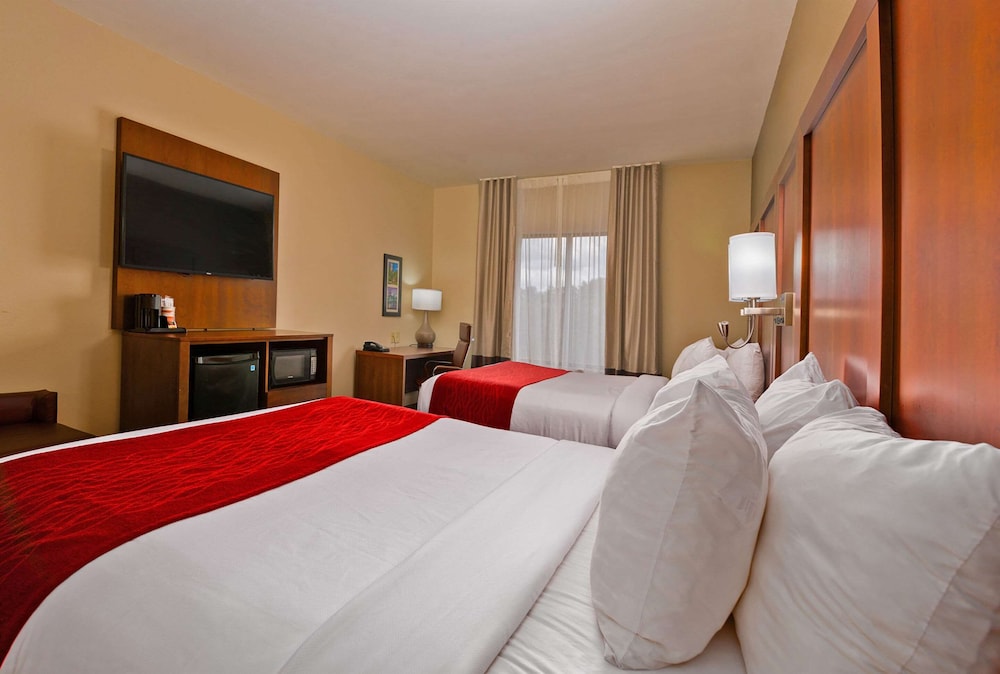 Comfort Inn & Suites Augusta West Near Fort Gordon 17/49