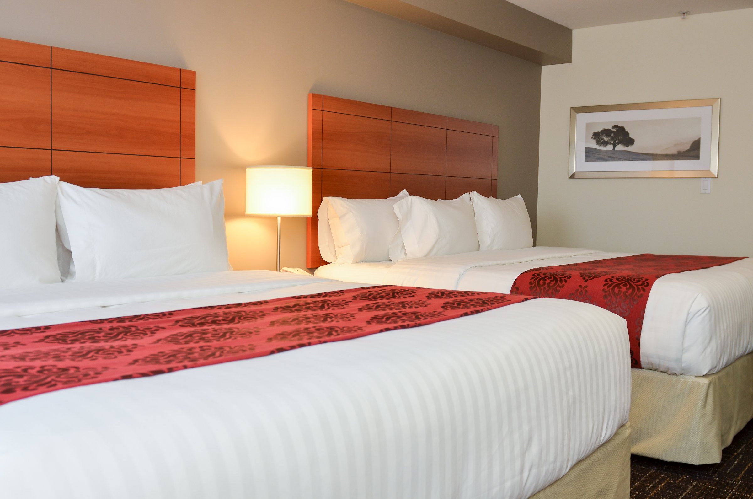 Best Western Thompson Hotel Suites 10/43