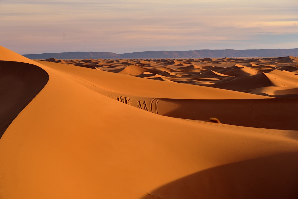 Bivouac Draa - Nuit dans le desert 11/17