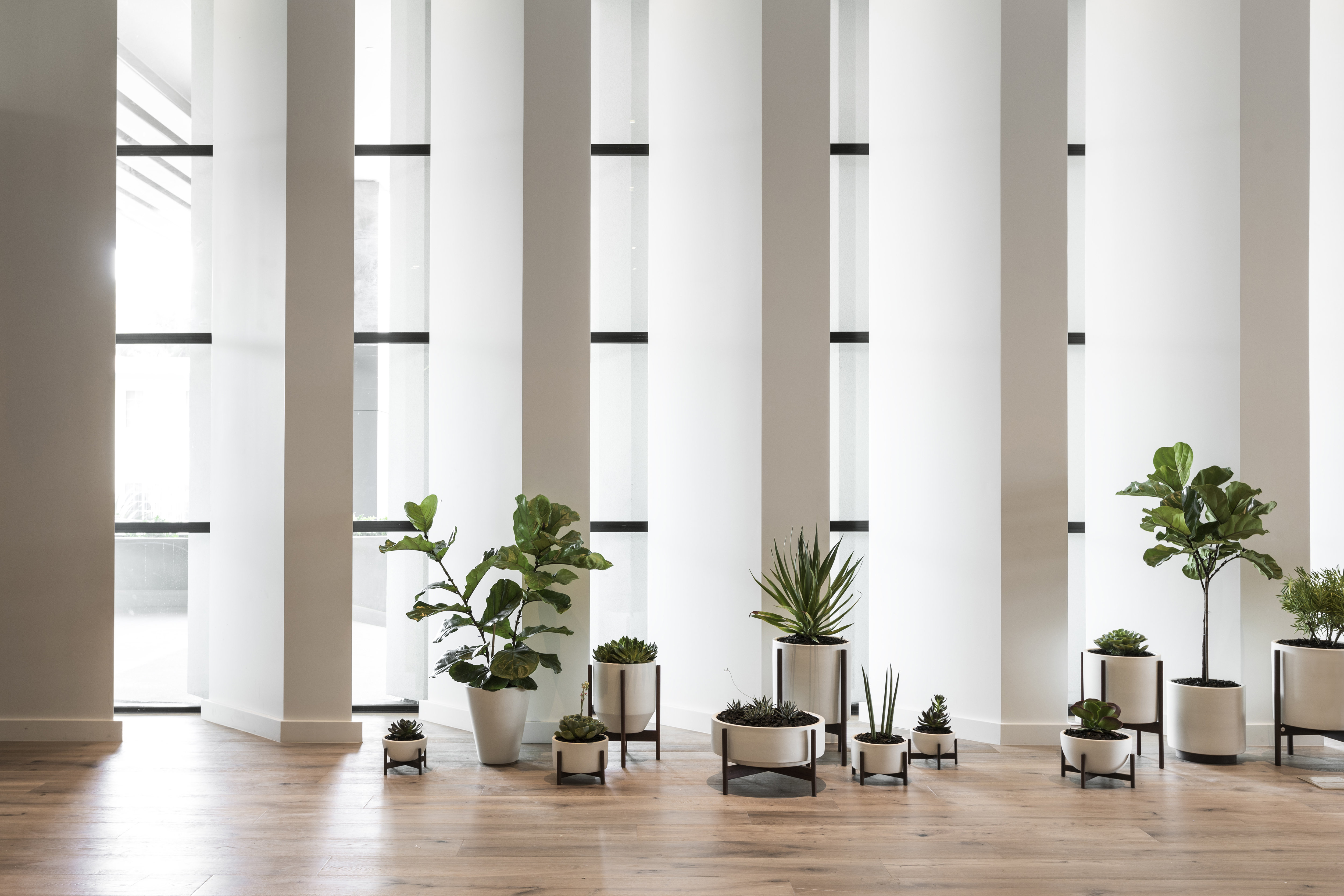 KIMPTON EVERLY HOTEL 35/80
