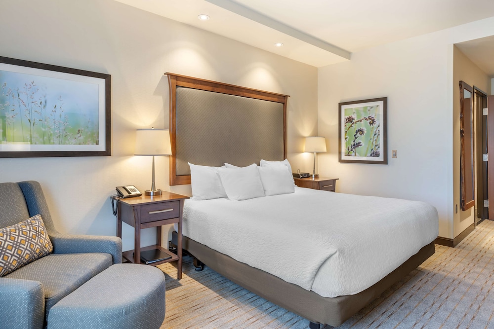 Standard, King Bed, Accessible