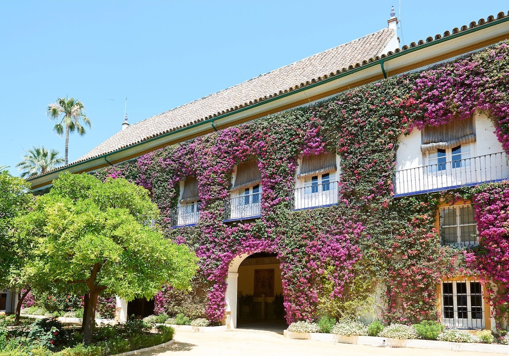 Hotel Simon 3/66