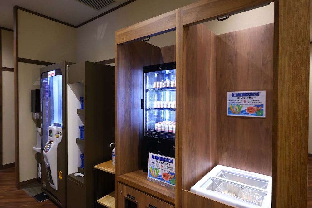 Dormy Inn Express Gotemba Hot Springs 38/48
