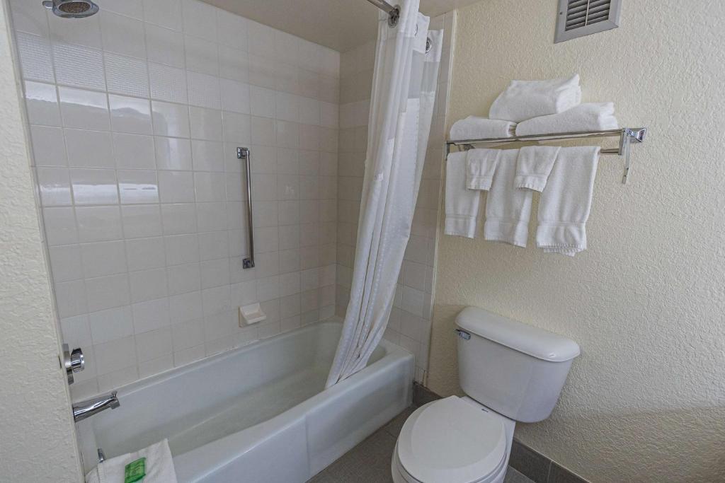 Wyndham Flint MI/Grand Blanc/Bishop Airport/Conference Ctr 69/71
