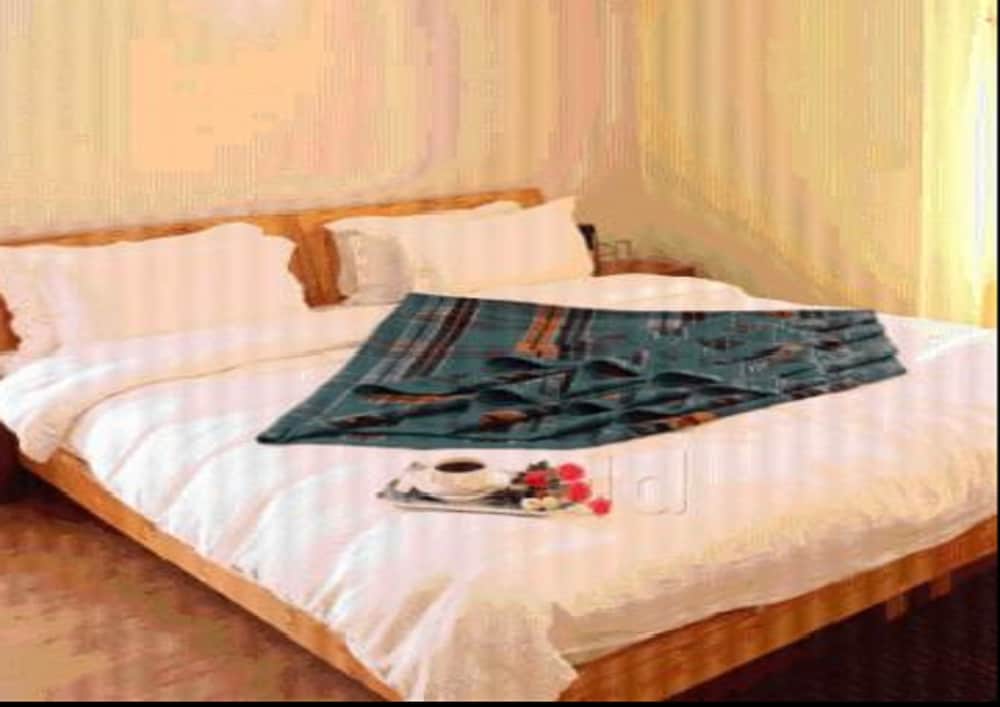 Hotel Om Ladakh 13/19