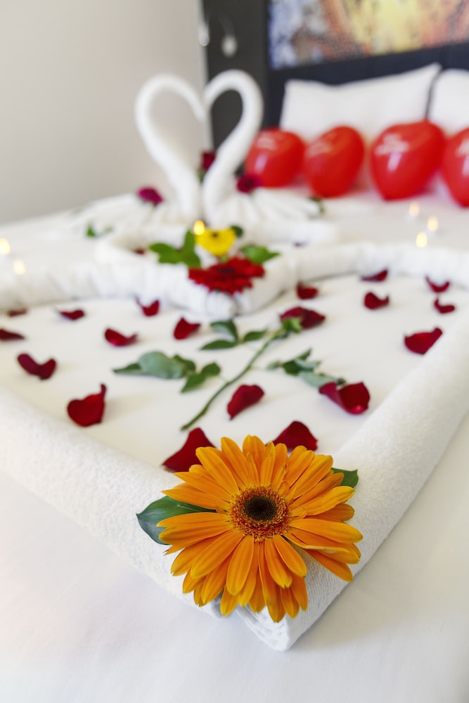 Optimum Luxury Hotel & Spa 26/54