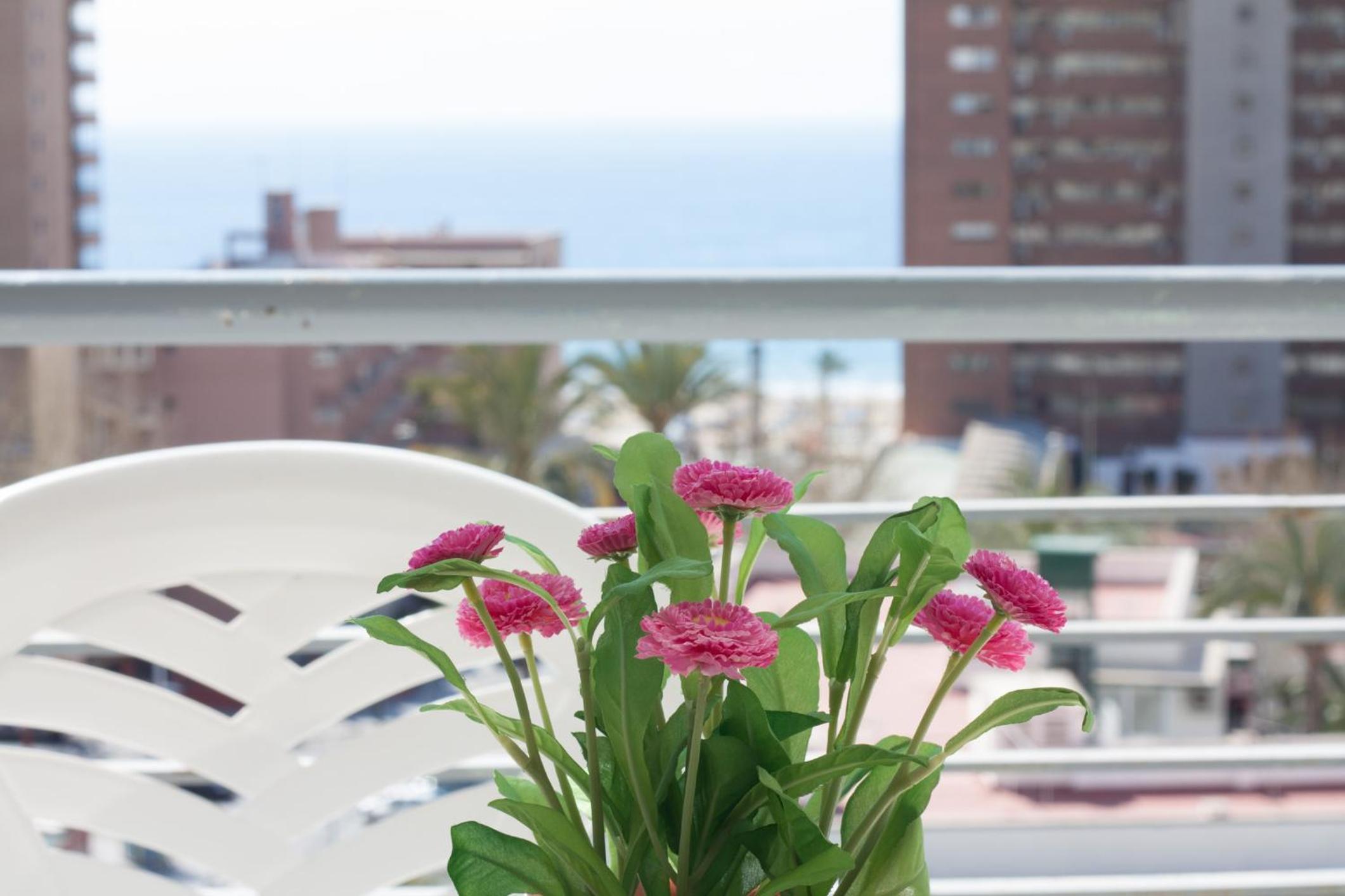 Apartamentos Niza 2/16