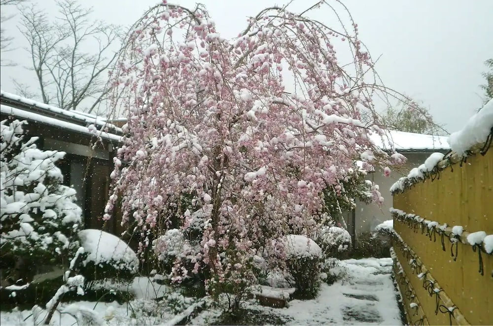 Fuji-Hakone Guest House 27/29