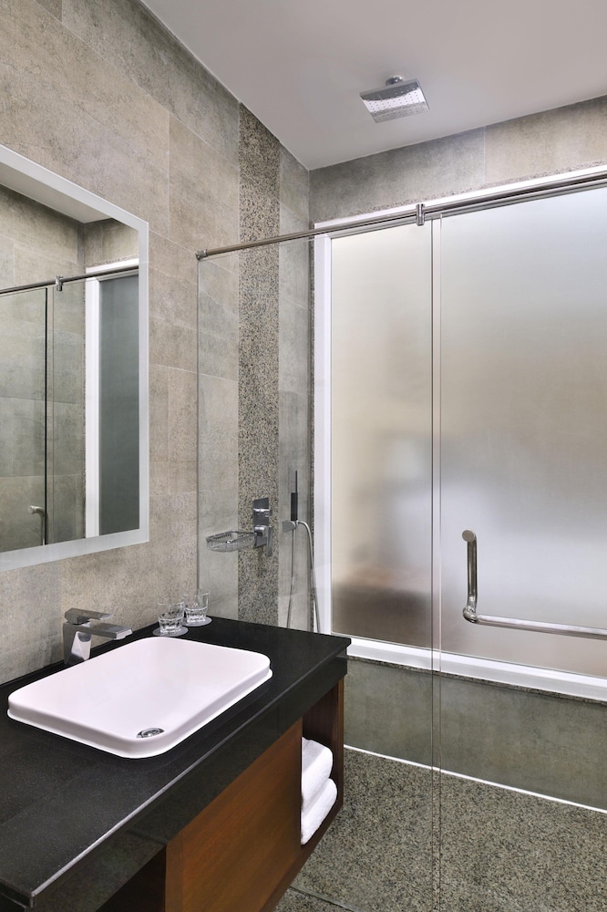 The Westin Pushkar Resort & Spa 15/43