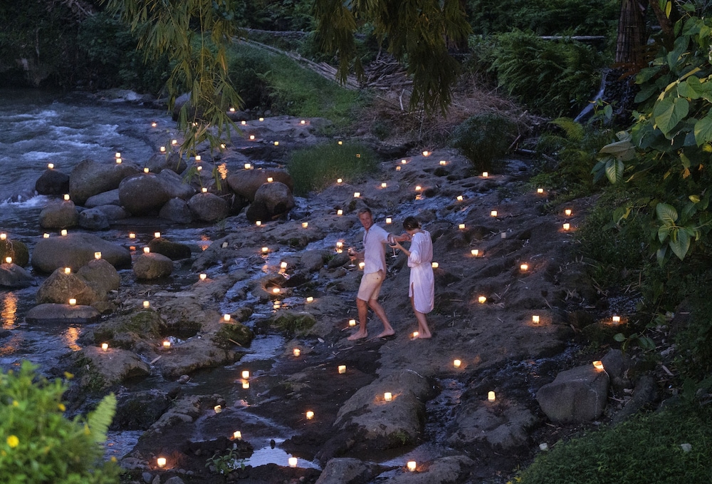 The Samaya Ubud Hotel 58/65