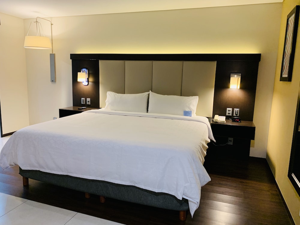 Holiday Inn Express Mexico Basilica 19/52
