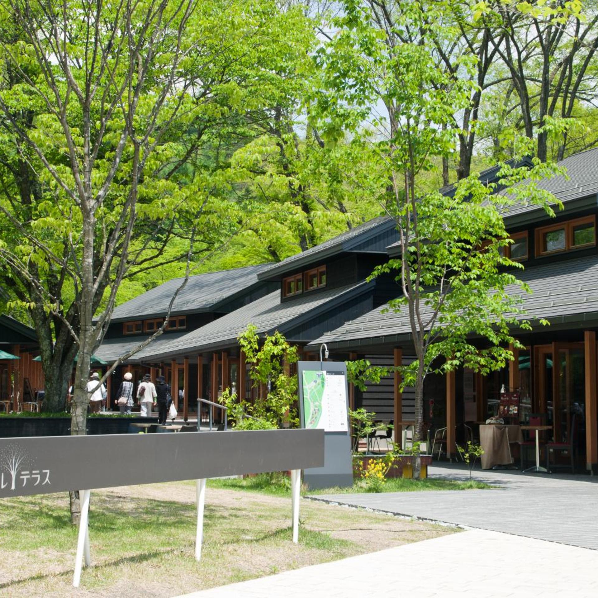 Hoshino Resort BEB5 Karuizawa 6/57