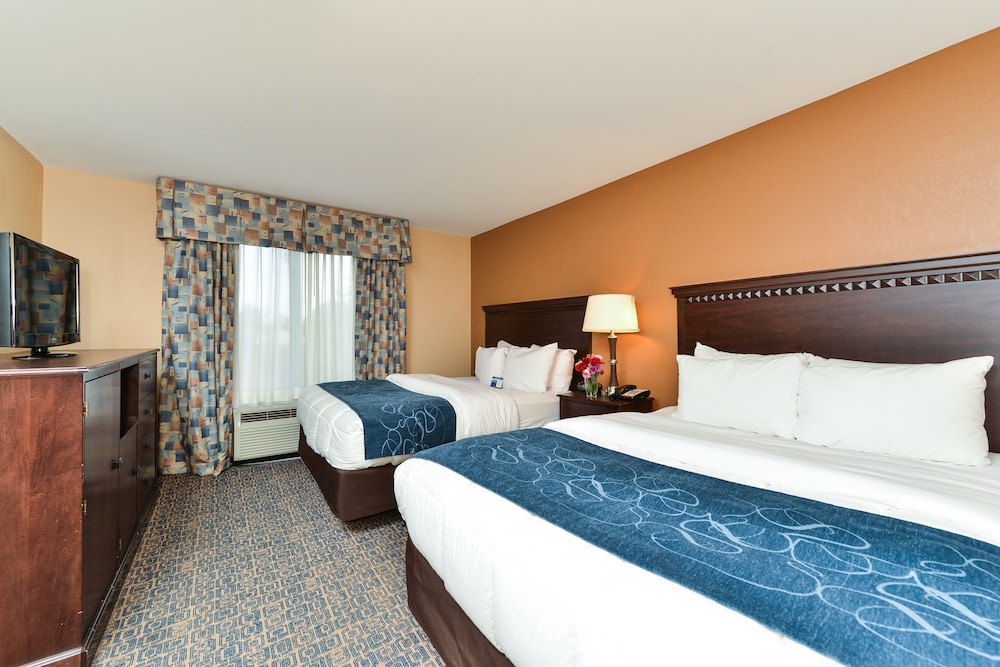 Comfort Suites Near McAs Beaufort 3/28