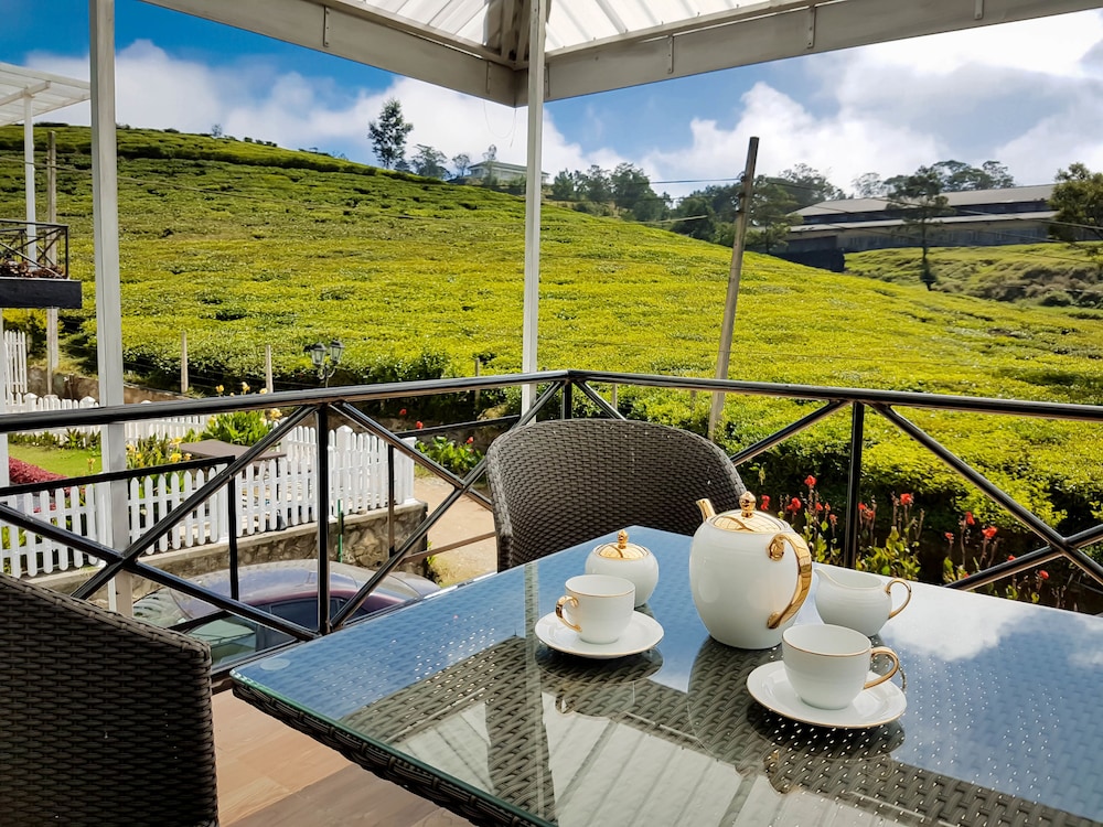 The Tea Garden 30/55