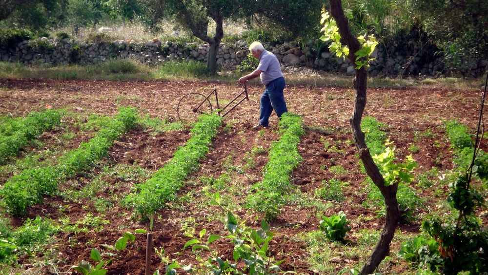 Masseria Uccio 25/41