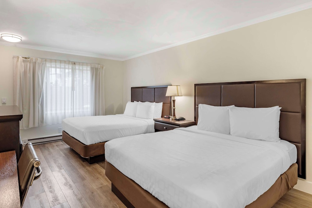 STANDARD, 2 QUEEN BEDS