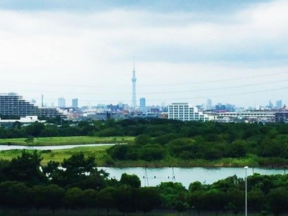 Nice Inn Hotel Ichikawa Tokyo Bay 43/43