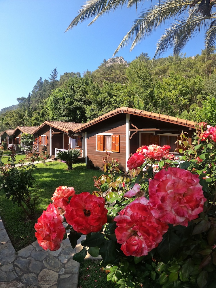 Canada Hotel & Bungalows 39/50