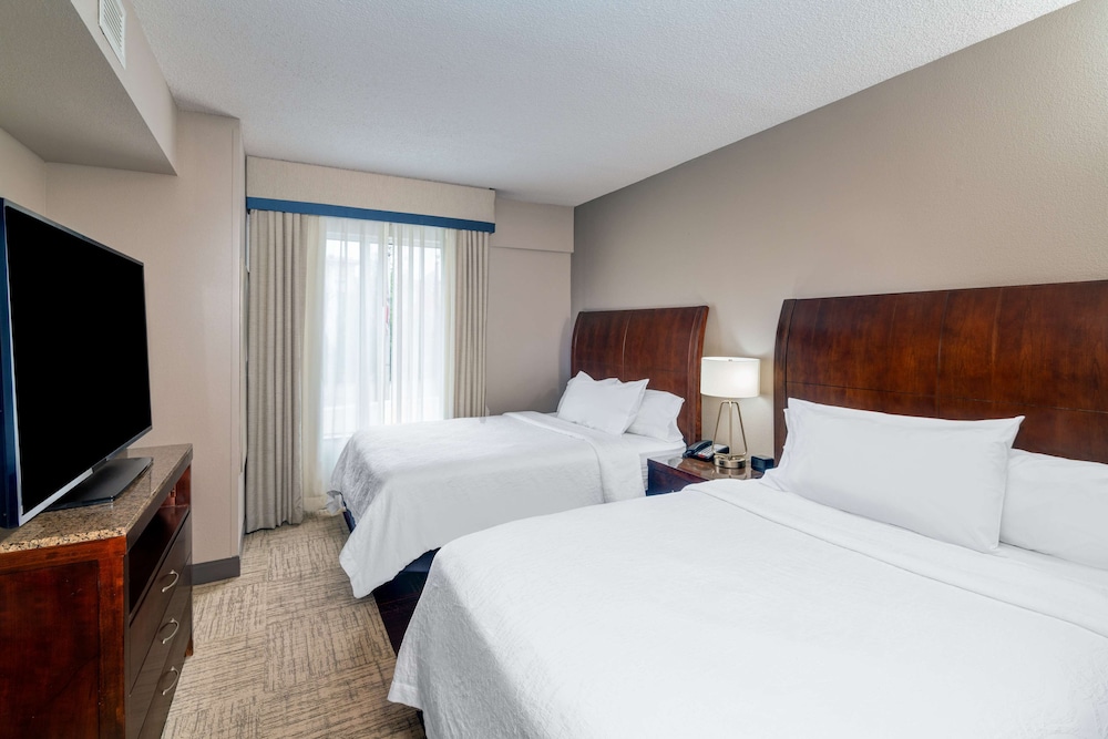 Evolution, Suite, 2 Queen Beds