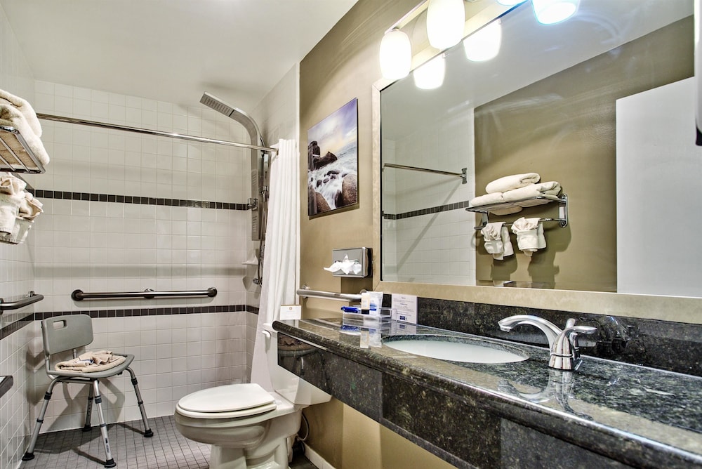 Best Western Mountain View Inn 10/39