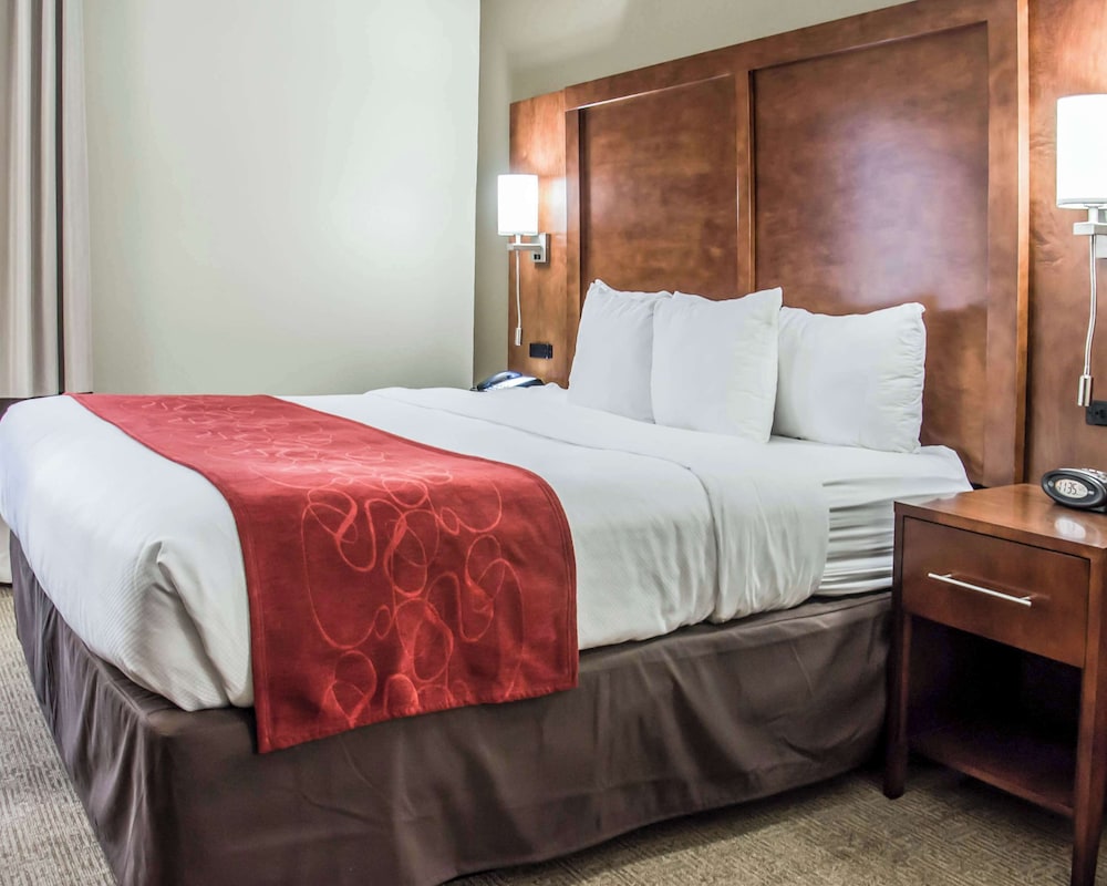 SUITE, KING BED, ACCESSIBLE