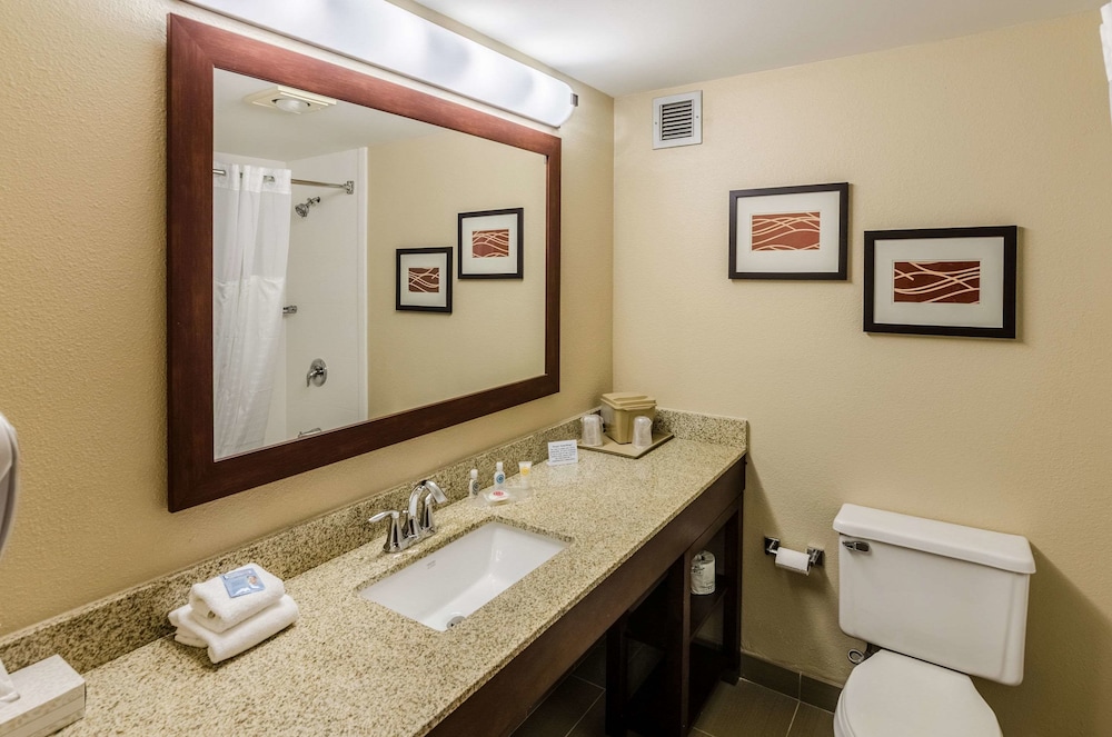 Comfort Inn Blacksburg University Area 18/36