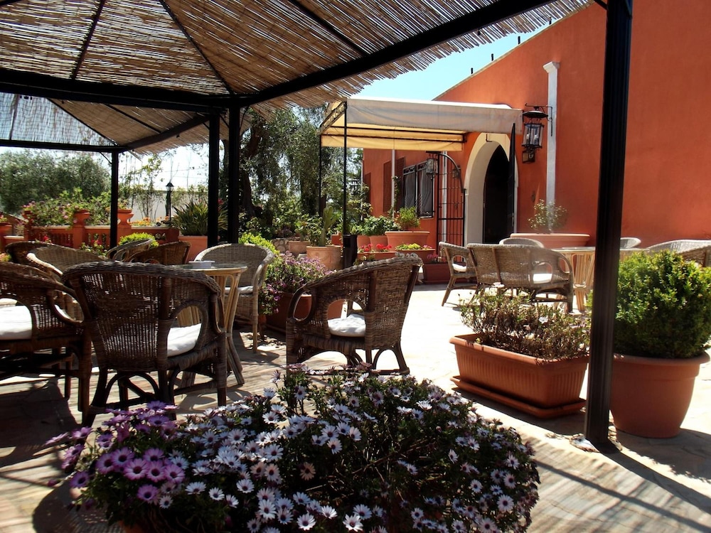 Poggio Degli Ulivi 26/55