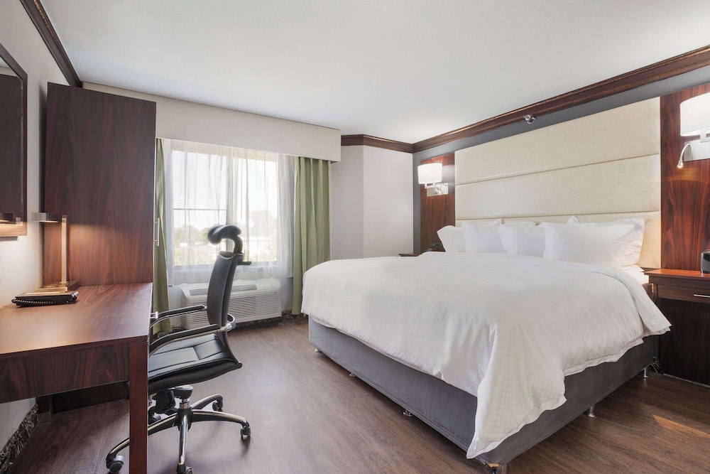 جناح بسرير كينج، The Leo Collection Detroit, an Ascend Collection Hotel 3/10