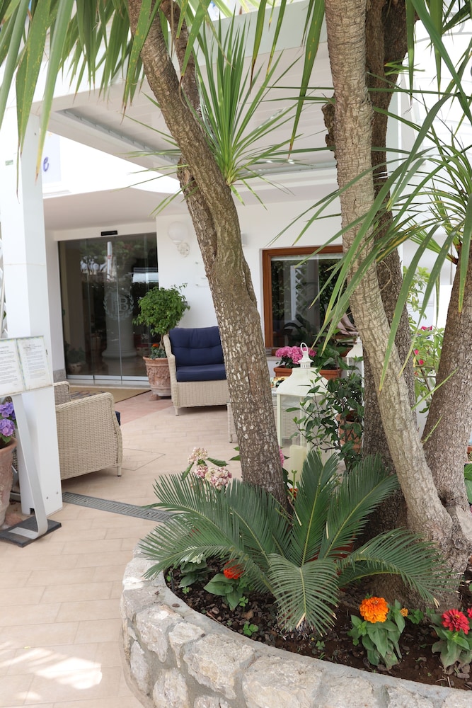Capri Bougainville 10/49