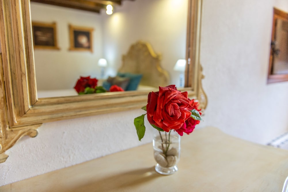 Agroturismo Can Pere Sord酒店(Agroturismo Can Pere Sord) 图片4