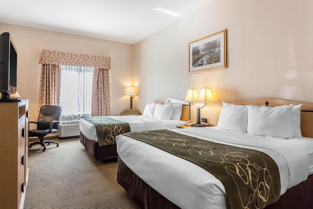 Comfort Inn & Suites Airport Convention Center 16/43