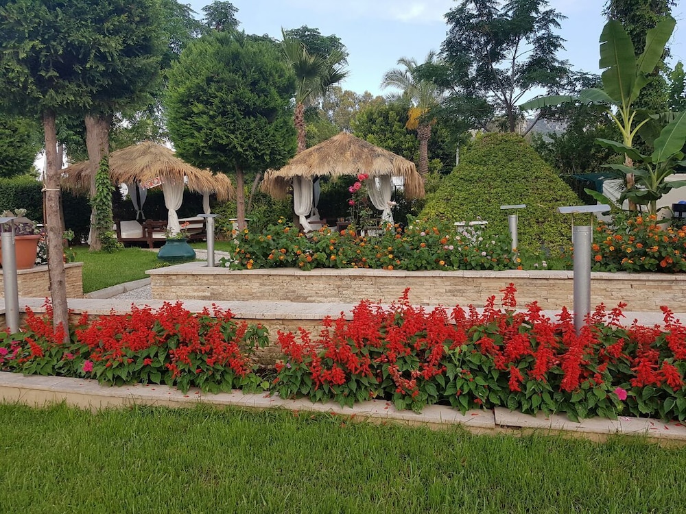 Lancora Beach Hotel 41/50