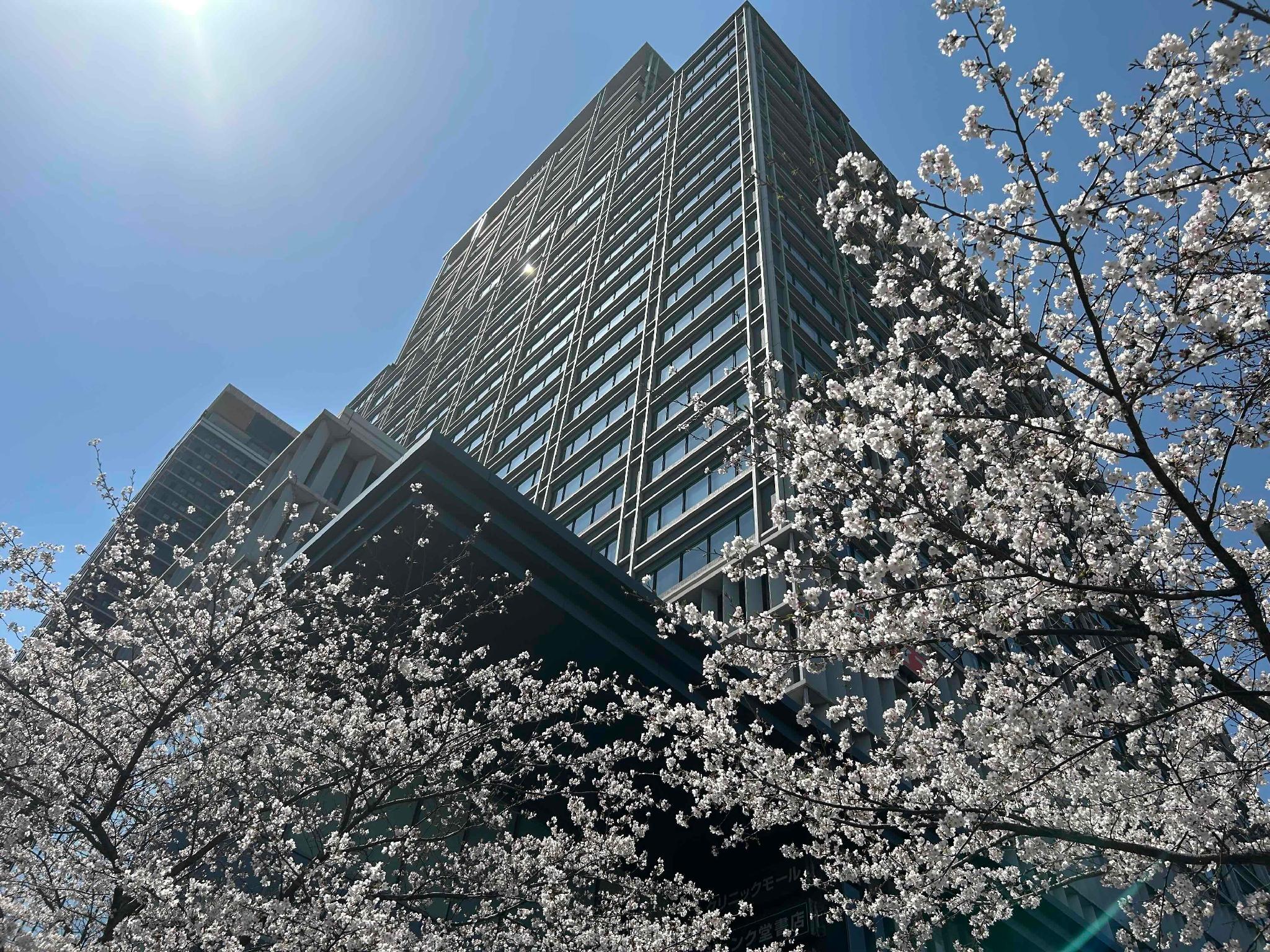 Hotel Monterey Grasmere Osaka in OSAKA