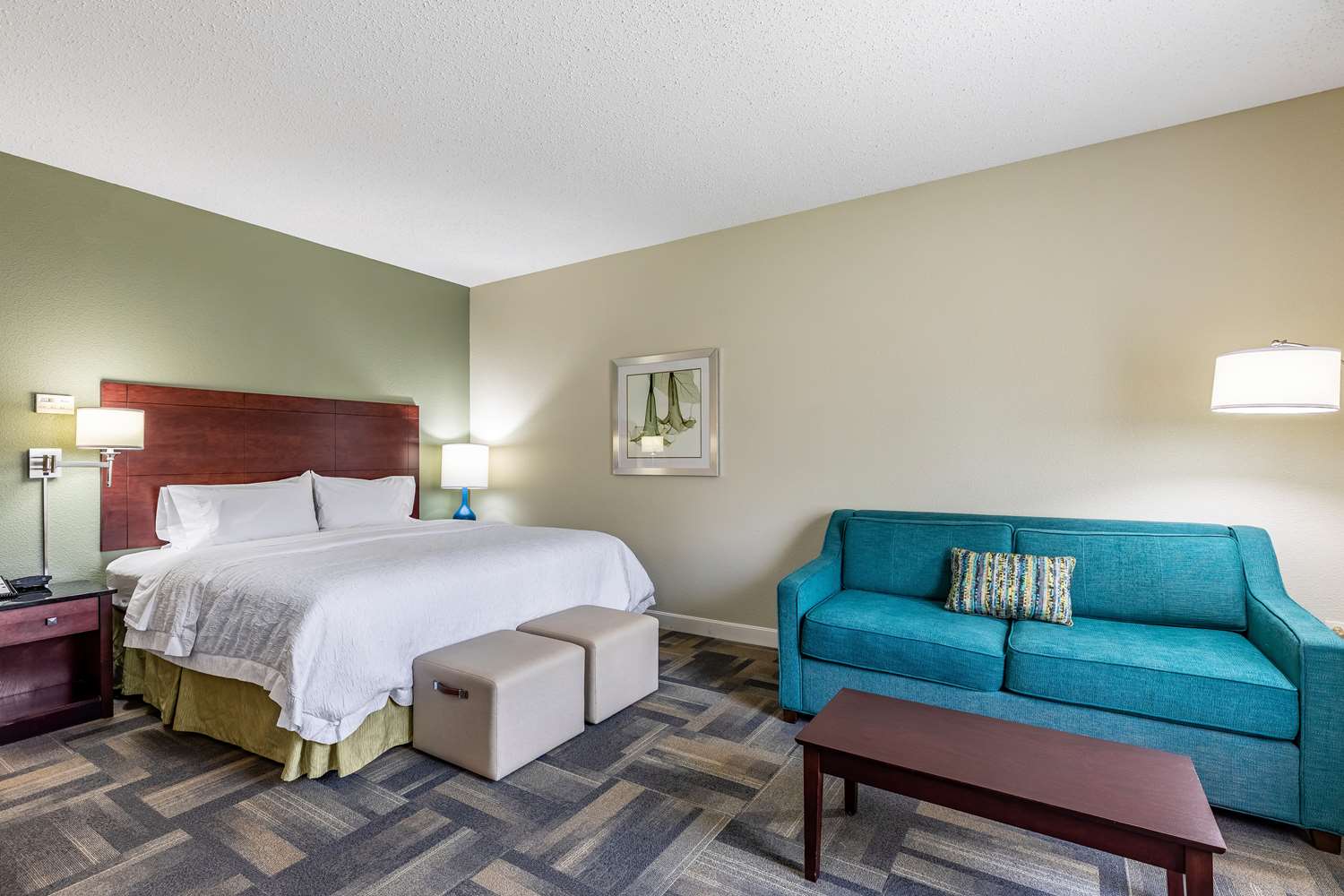 Hampton Inn & Suites Orlando-South Lake Buena Vista 19/49