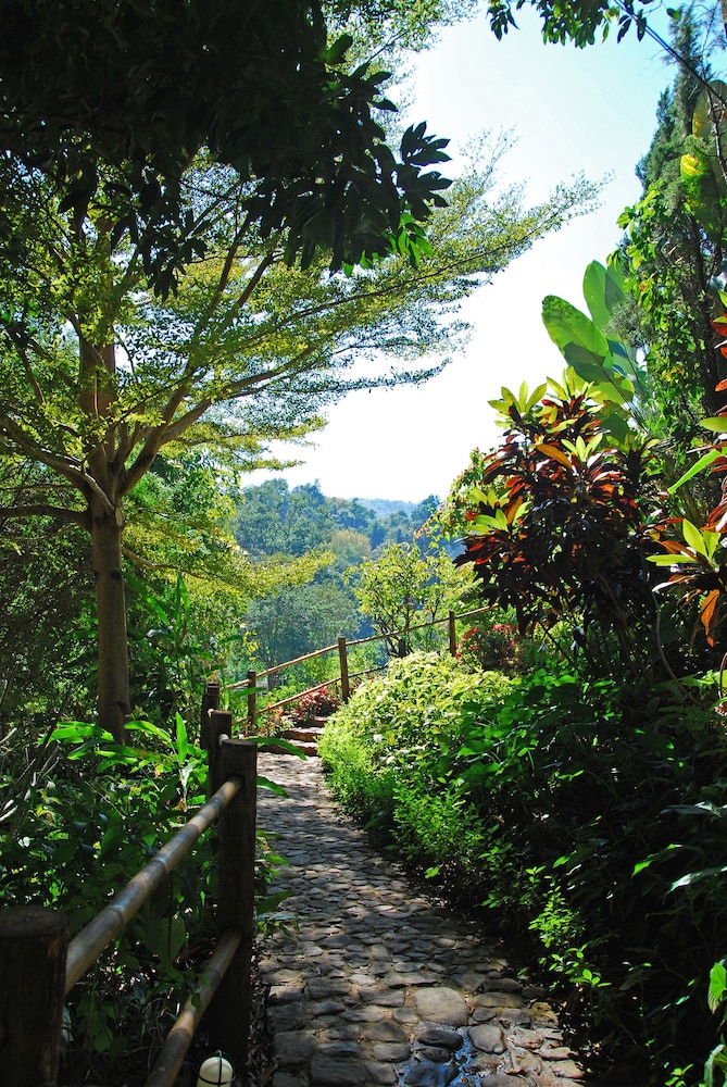 Vanilla Hill (Hill Lodge) 42/50