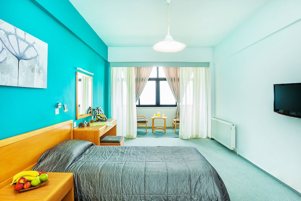 Troodos Hotel 18/50