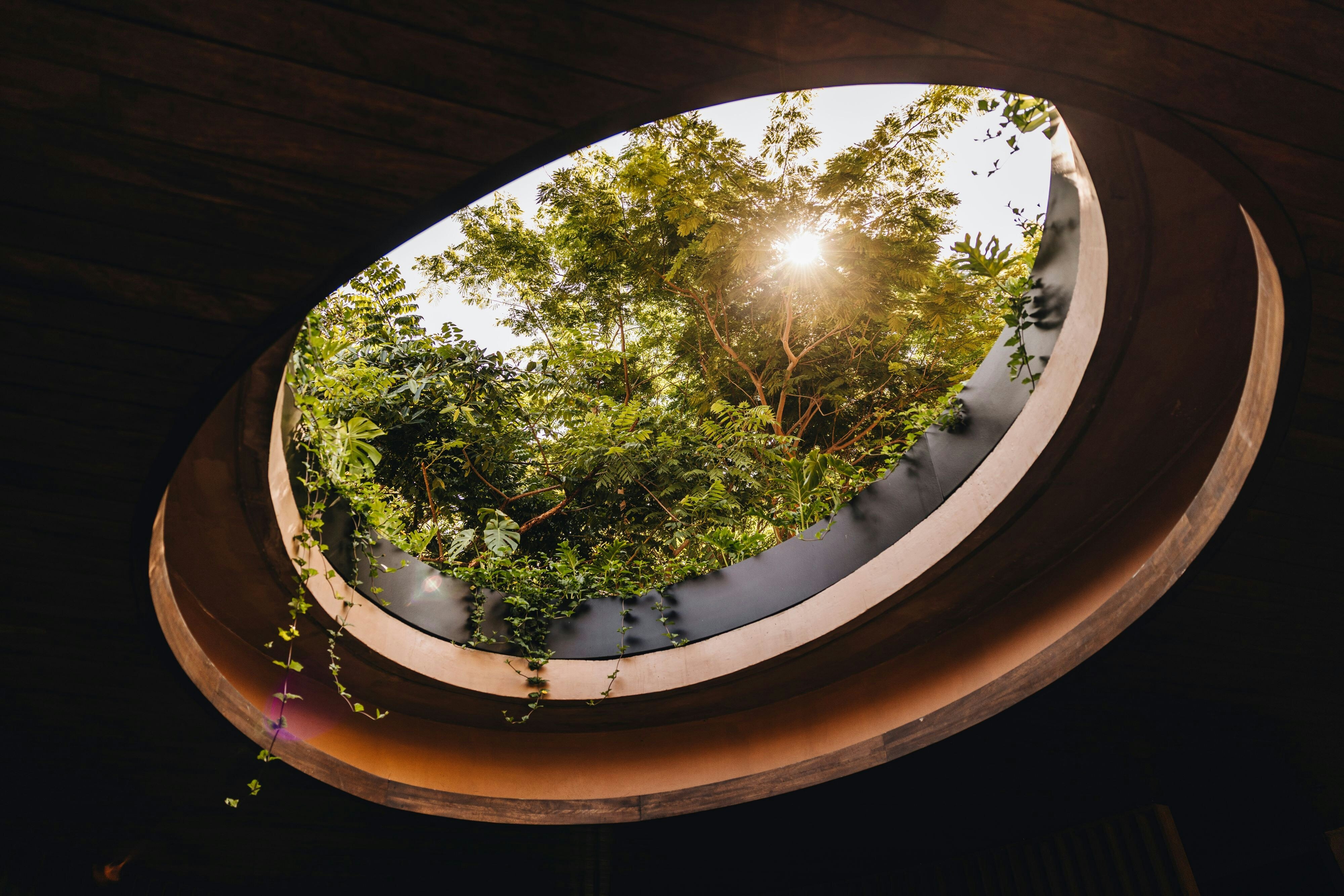 Siari Riviera Nayarit, a Ritz-Carlton Reserve 11/50