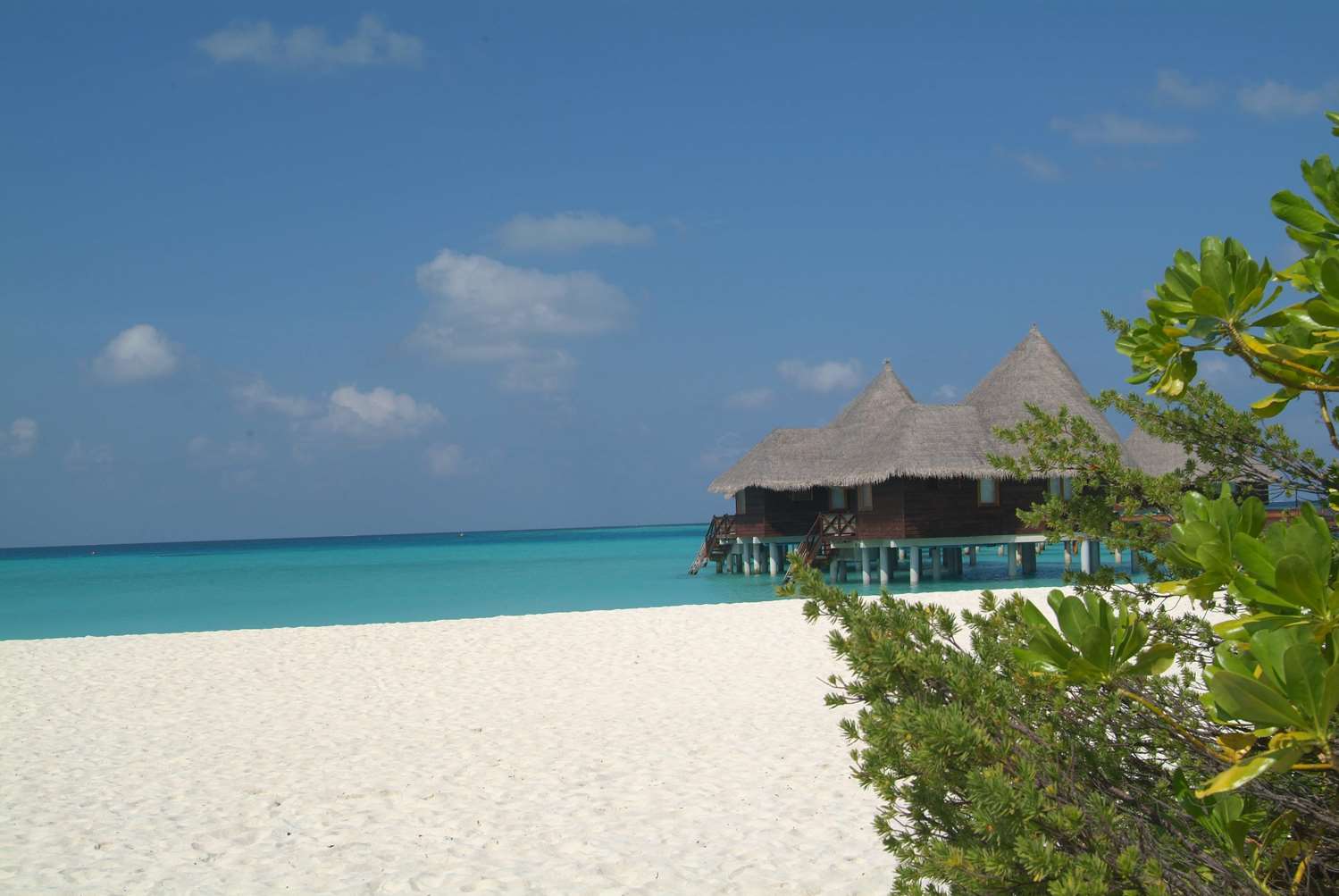 Coco Palm Dhuni Kolhu 43/56