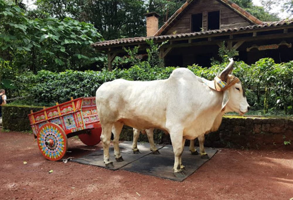 The Peace Lodge At La Paz Waterfall Gardens 8/63