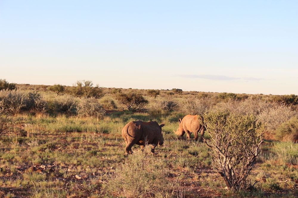 Lapa Lange Game Lodge 43/48