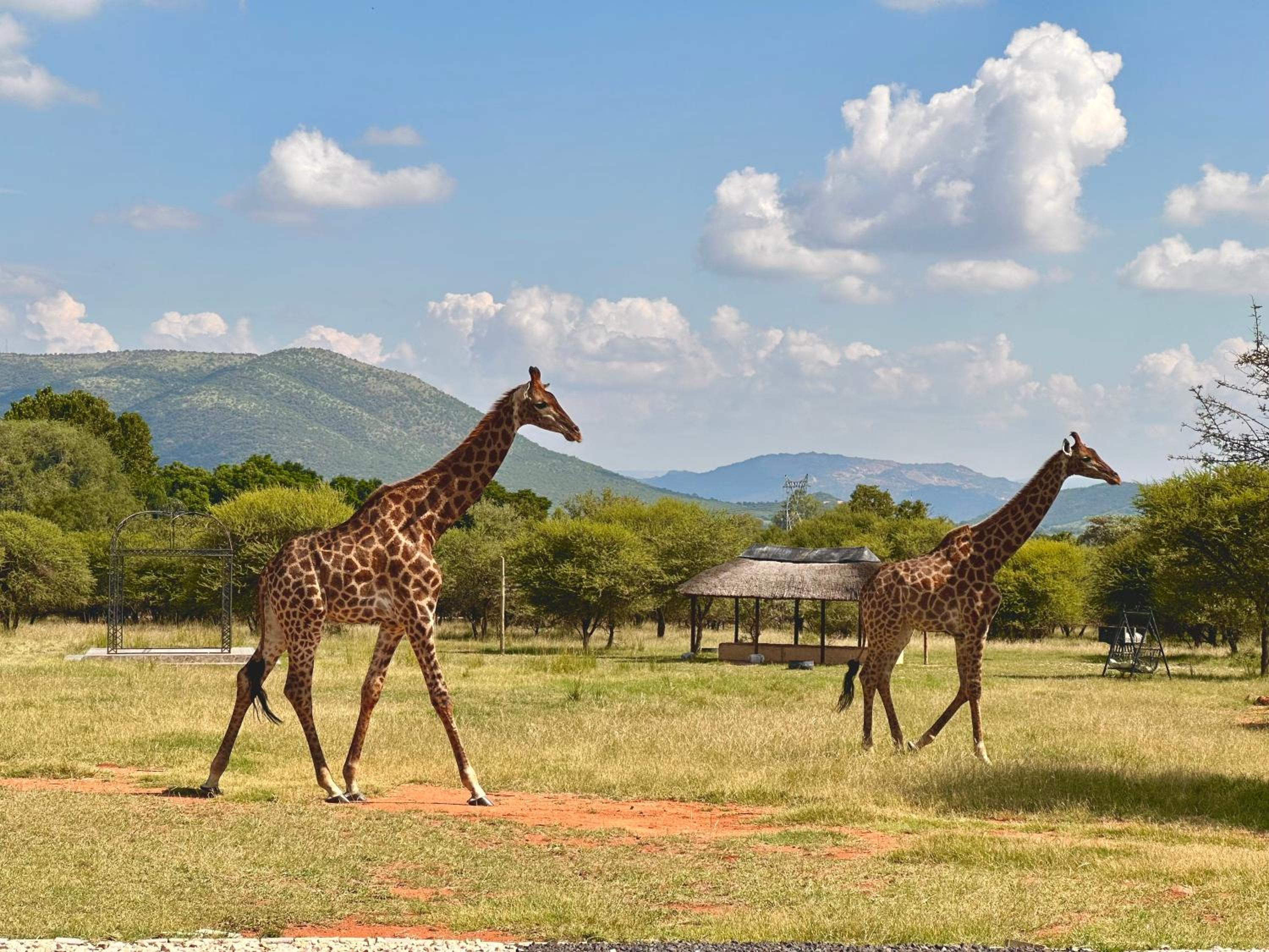 Tula Baba Guest Lodge 26/50
