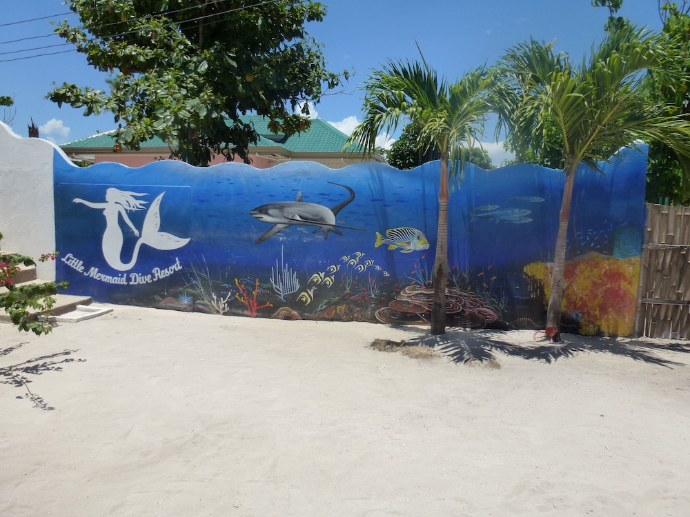 Little Mermaid Dive Resort 54/54
