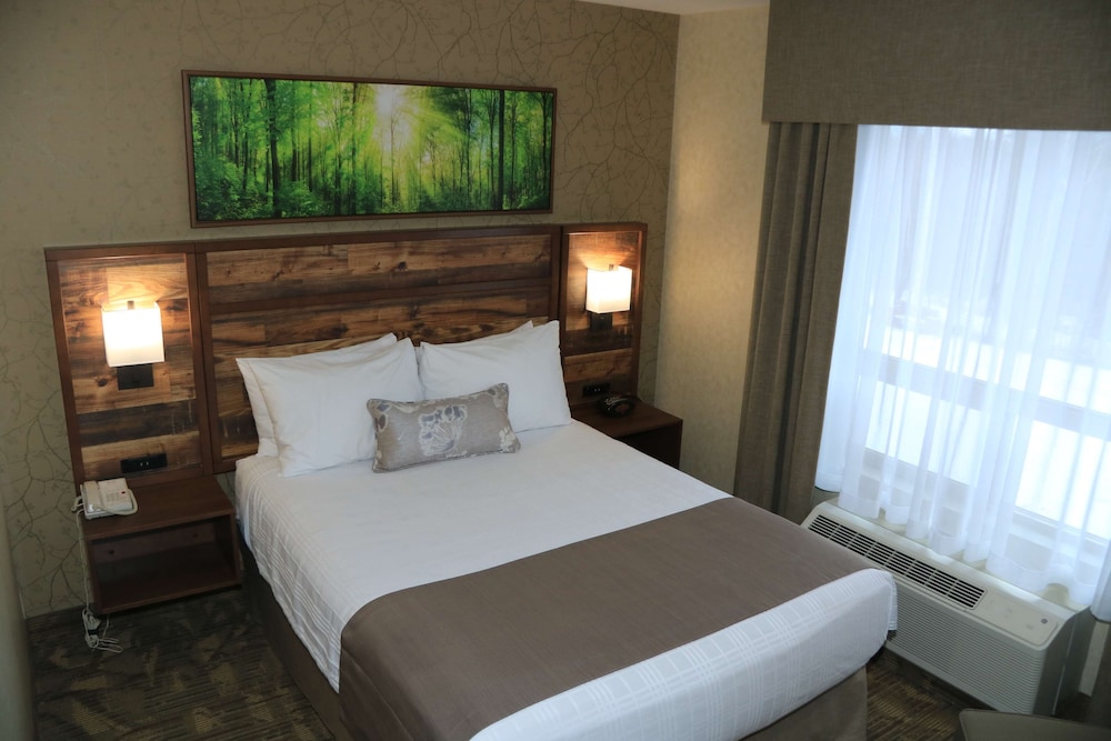 Best Western Plus Valemount Inn & Suites 25/65