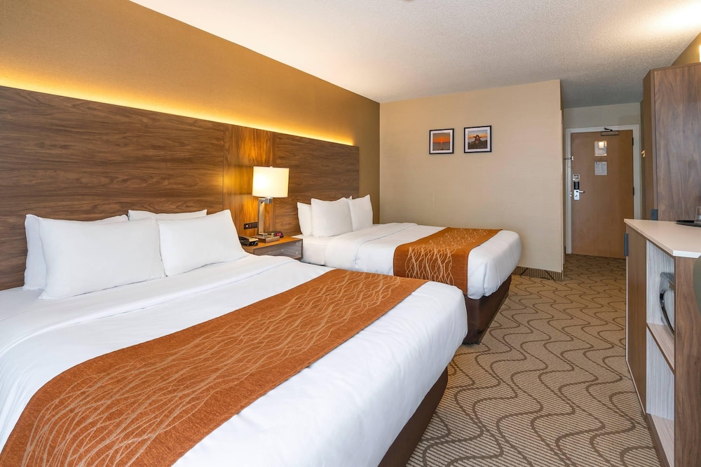 Standard, 2 Queen Beds, High Floor